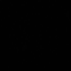 Meet your Posher, Celina